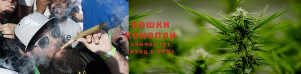 крисы Аркадак