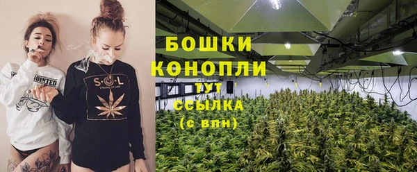 ПСИЛОЦИБИНОВЫЕ ГРИБЫ Балабаново