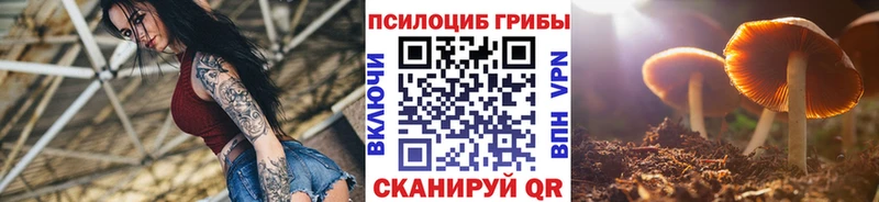 Галлюциногенные грибы MAGIC MUSHROOMS  Волгоград 